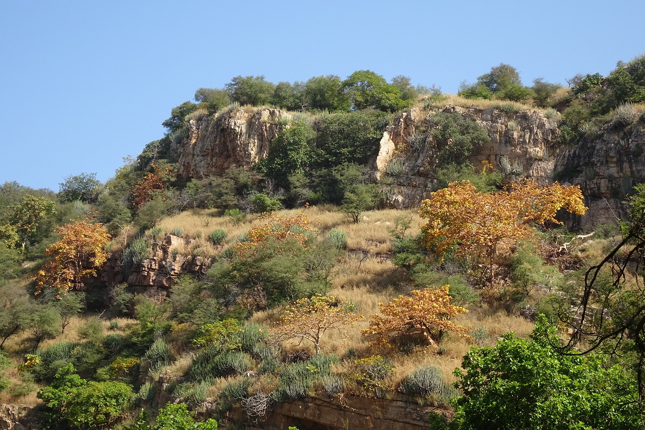 Exploring the Enchanting Aravalli Hills